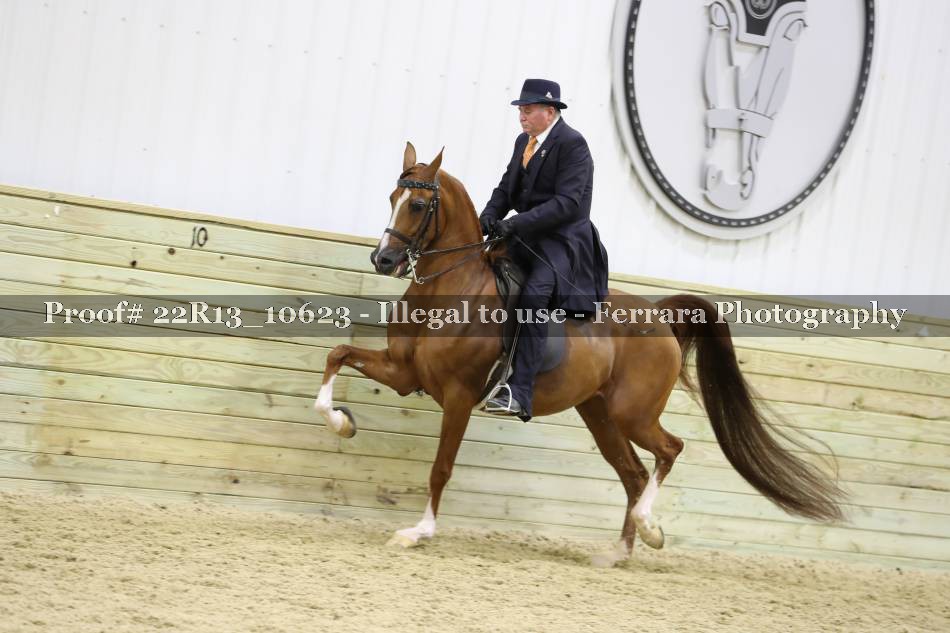 Proof 22R13_10623