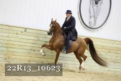 22R13_10623 proof