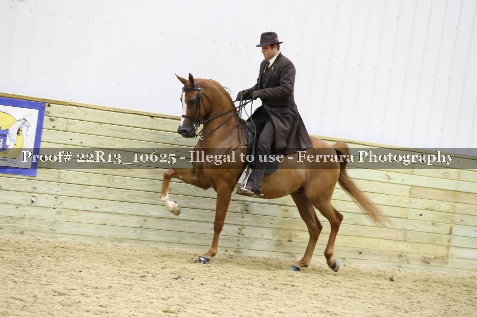 Proof 22R13_10625