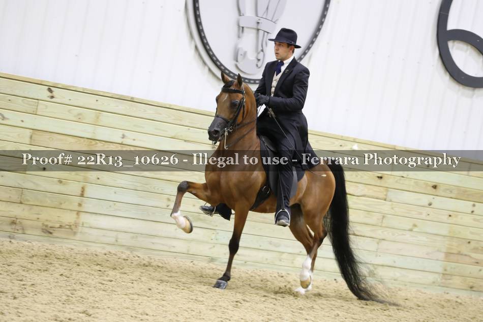 Proof 22R13_10626
