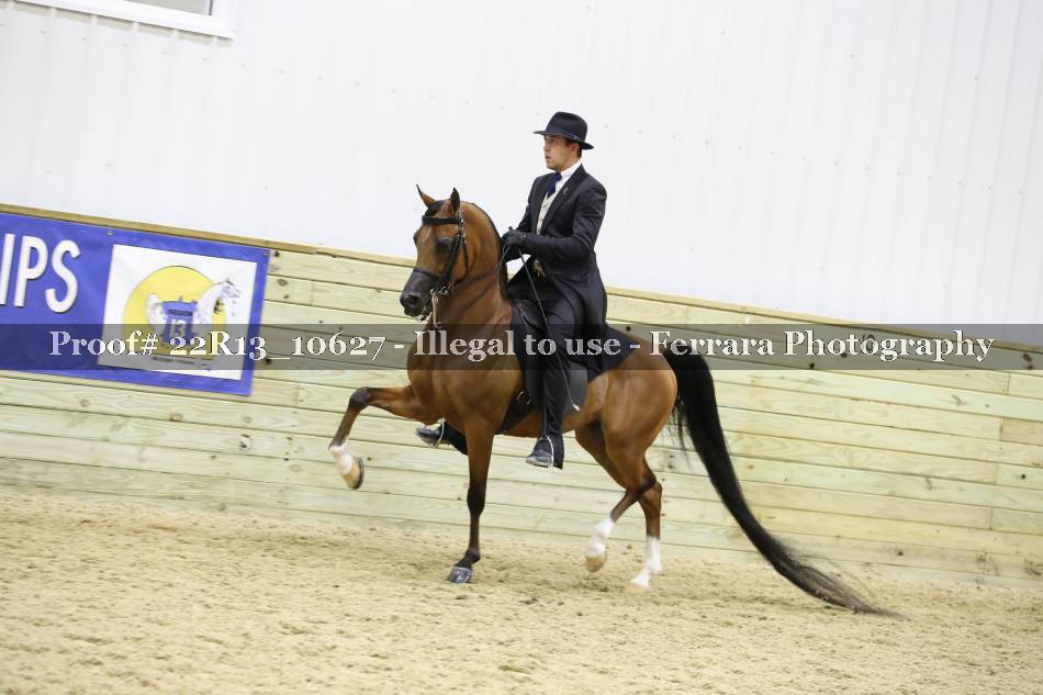 Proof 22R13_10627