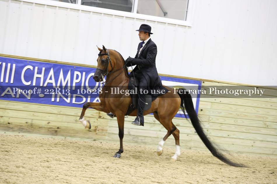 Proof 22R13_10628
