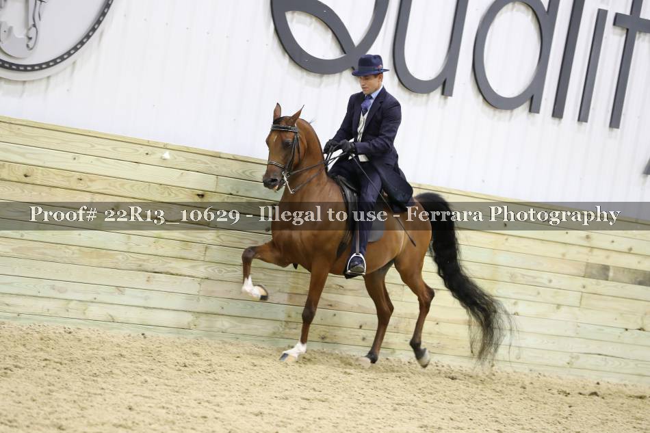 Proof 22R13_10629