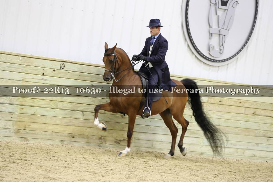 Proof 22R13_10630