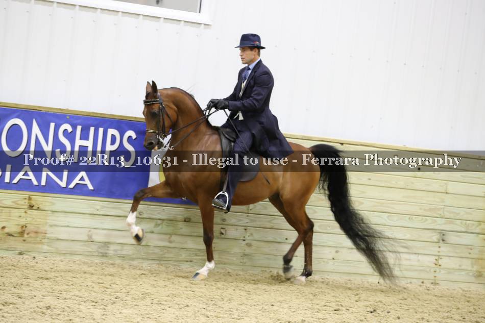 Proof 22R13_10631