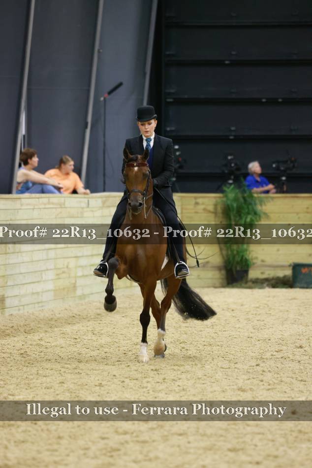 Proof 22R13_10632