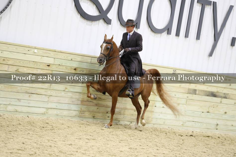 Proof 22R13_10633