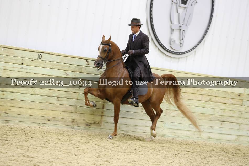 Proof 22R13_10634