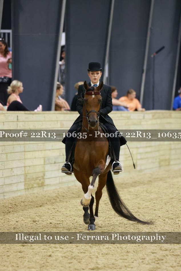 Proof 22R13_10635