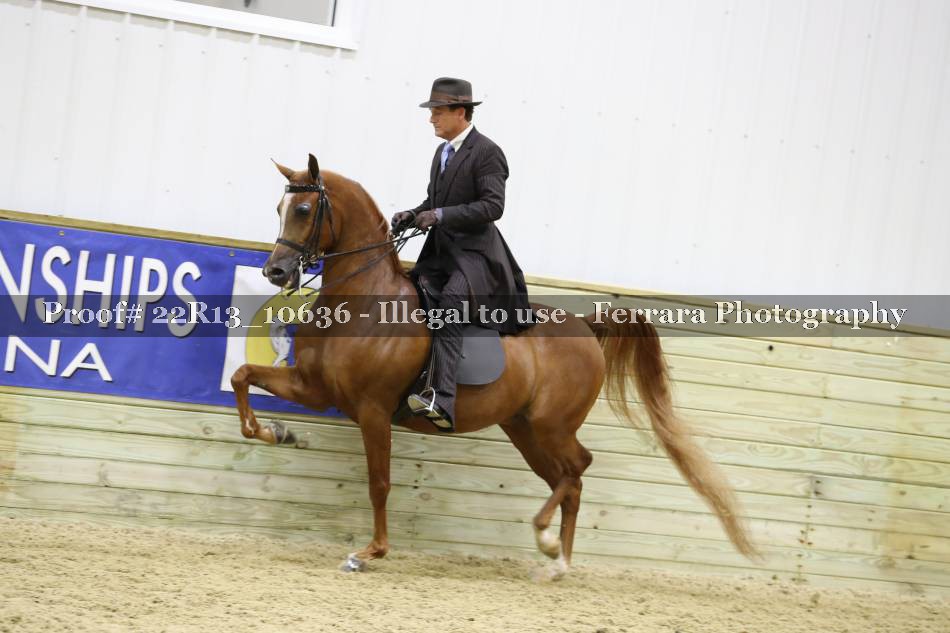 Proof 22R13_10636
