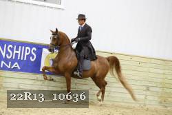 22R13_10636 proof