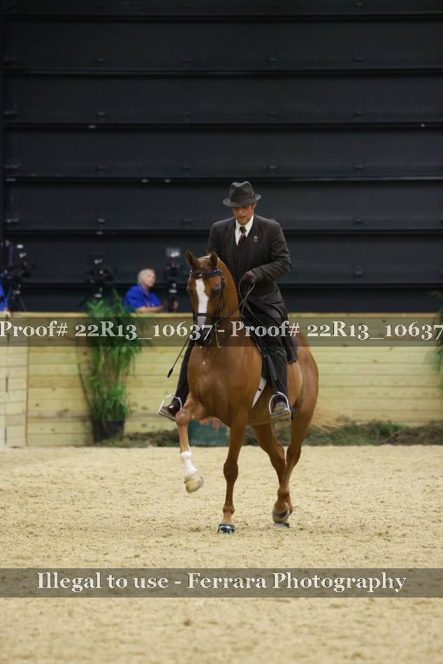 Proof 22R13_10637