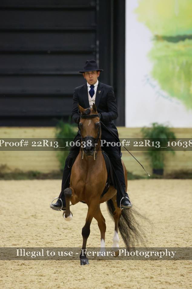 Proof 22R13_10638