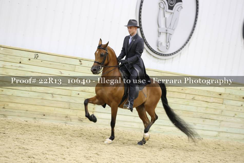 Proof 22R13_10640