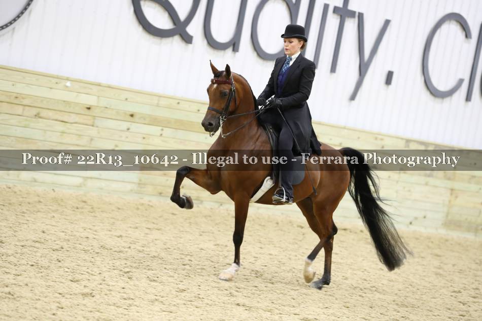 Proof 22R13_10642