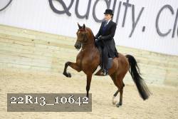 22R13_10642 proof