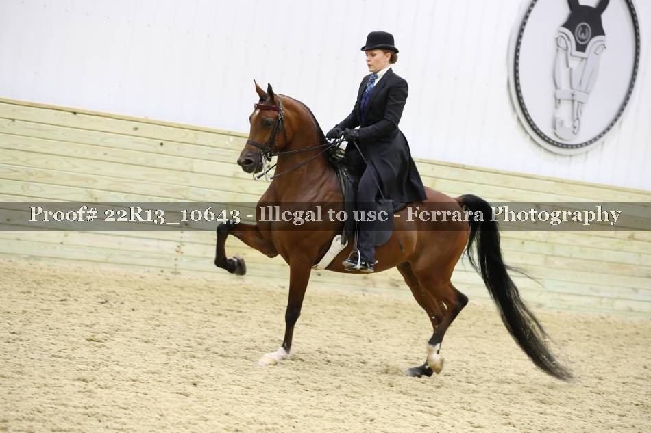Proof 22R13_10643