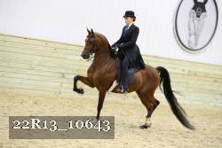 22R13_10643 proof