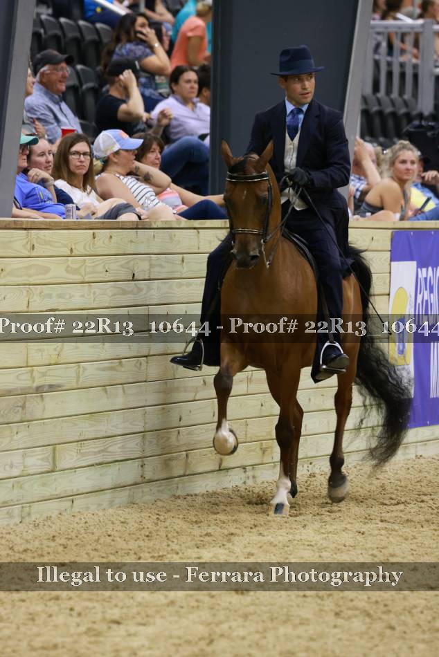Proof 22R13_10644