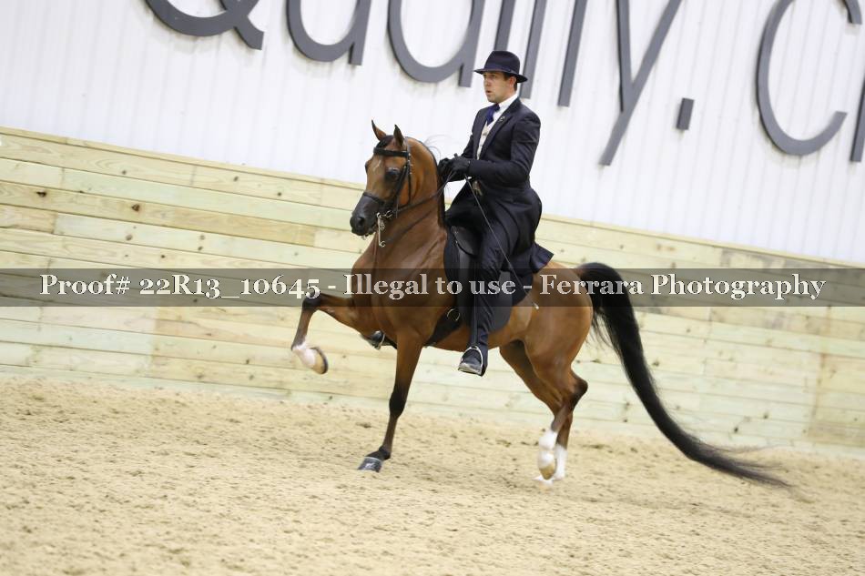 Proof 22R13_10645