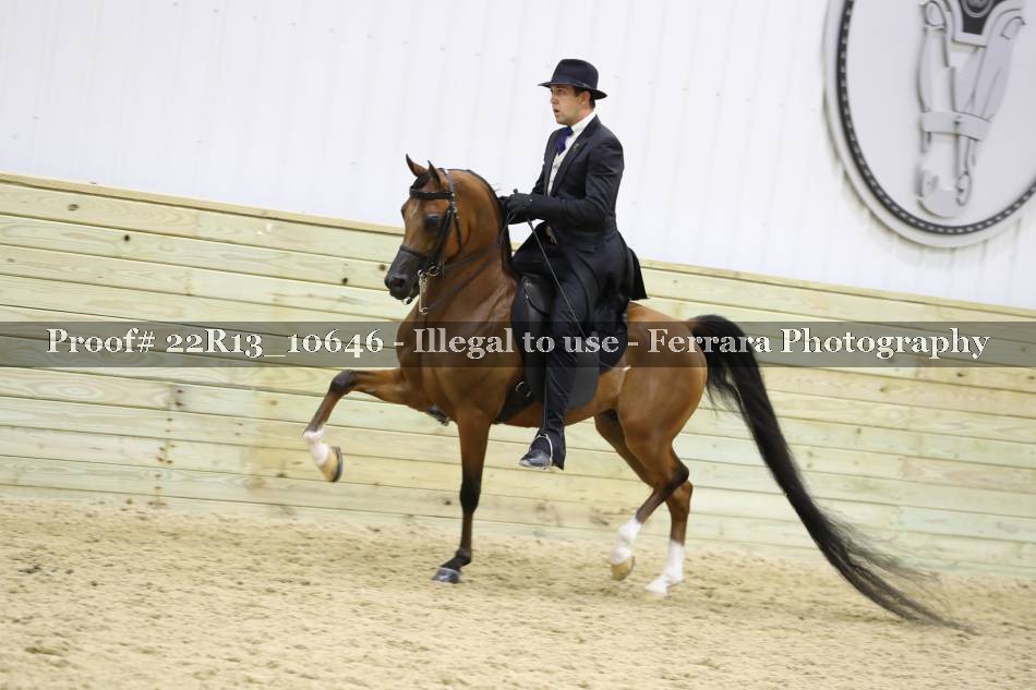 Proof 22R13_10646