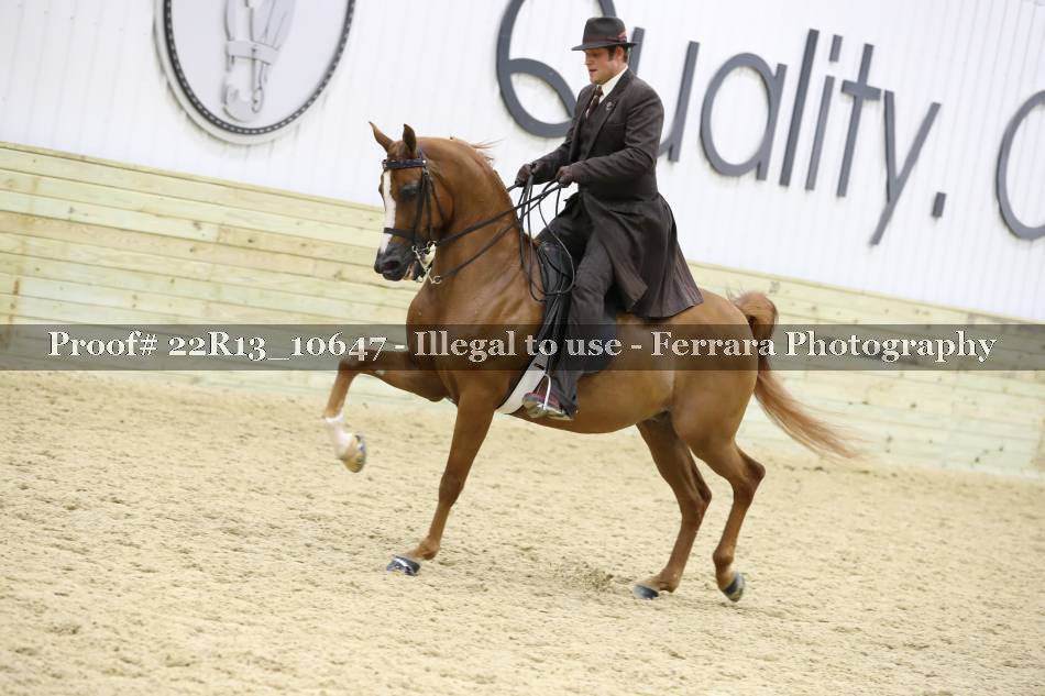 Proof 22R13_10647