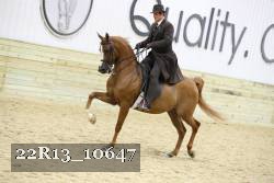 22R13_10647 proof