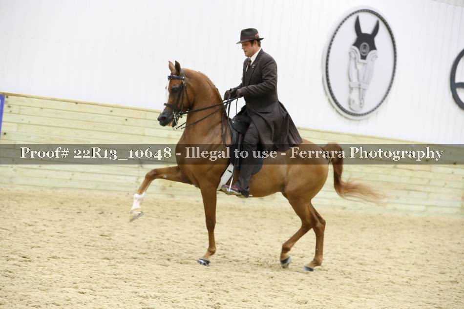 Proof 22R13_10648