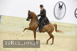 22R13_10648 proof