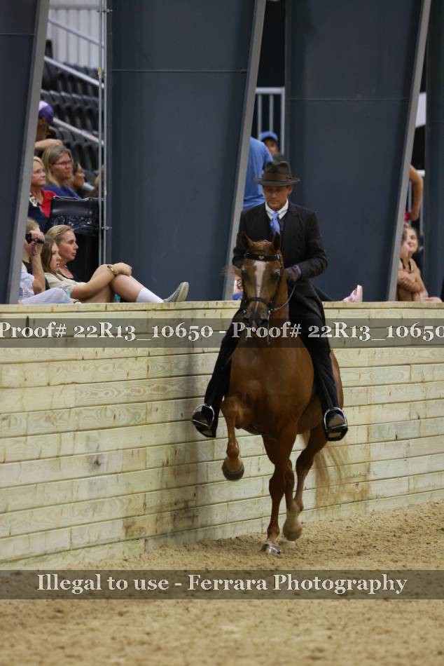 Proof 22R13_10650