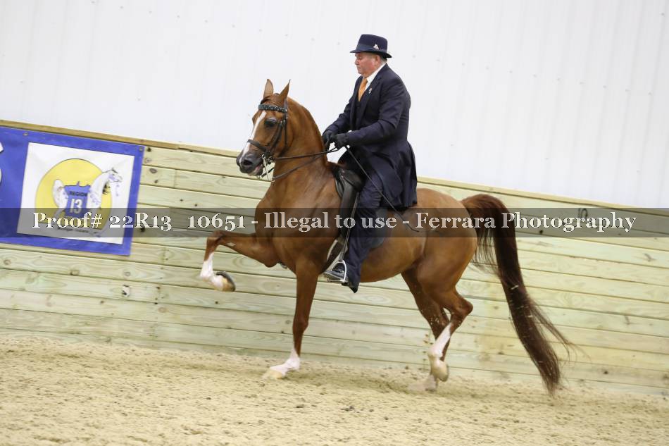 Proof 22R13_10651