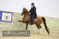 22R13_10651 proof