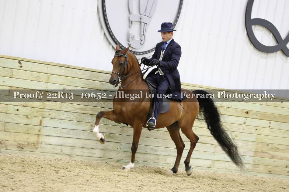 Proof 22R13_10652
