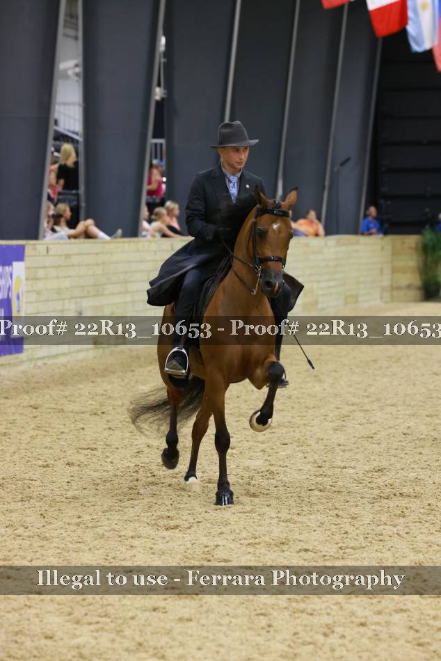 Proof 22R13_10653