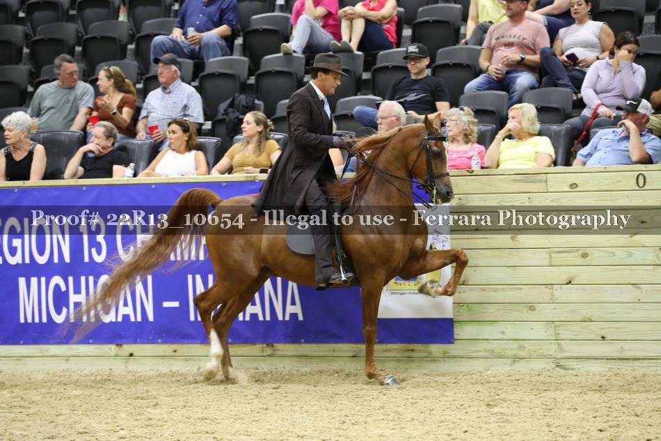 Proof 22R13_10654
