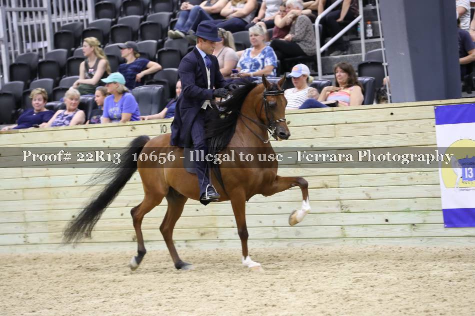 Proof 22R13_10656