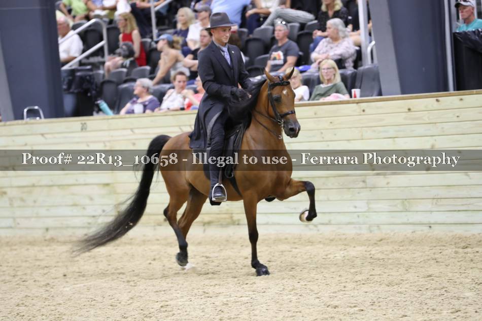 Proof 22R13_10658