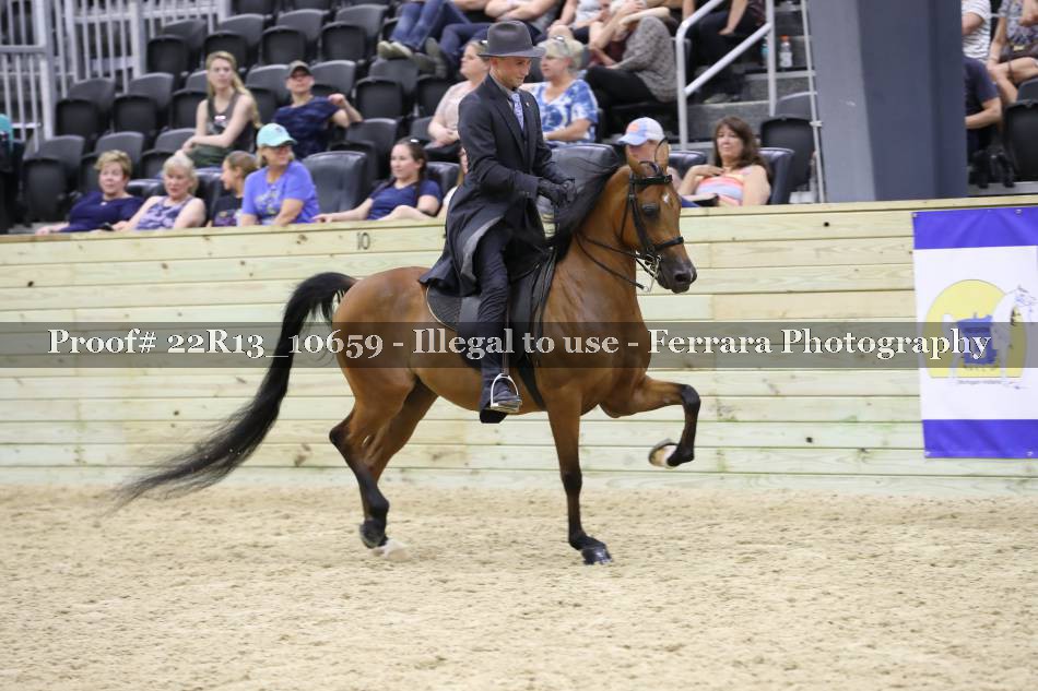 Proof 22R13_10659