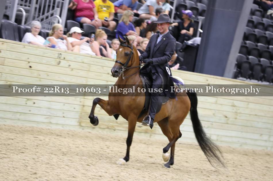 Proof 22R13_10663