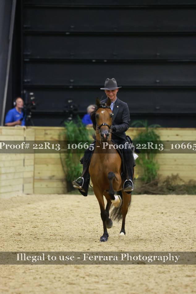 Proof 22R13_10665