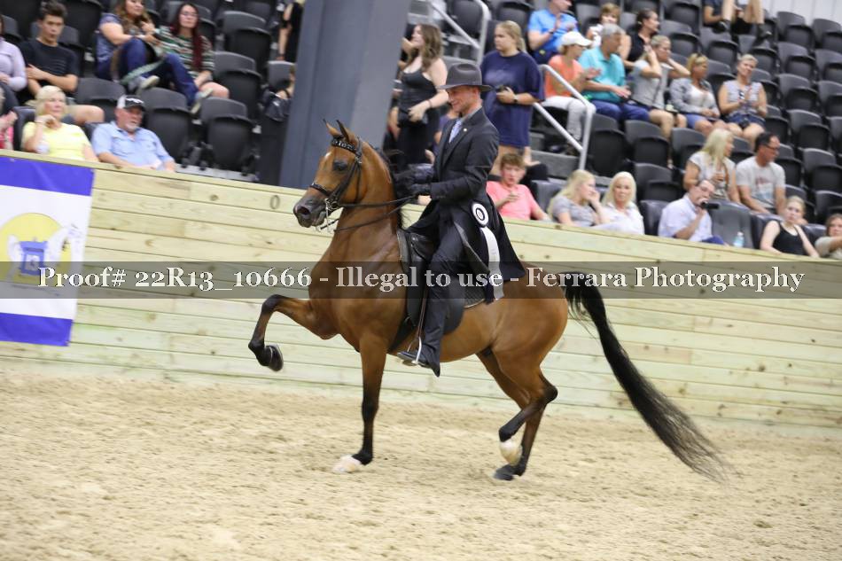 Proof 22R13_10666