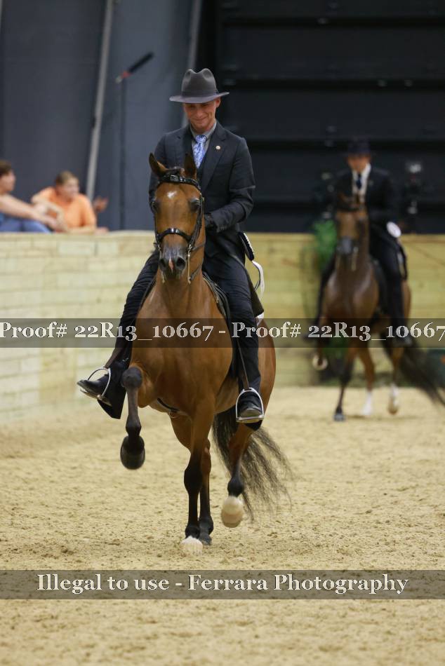Proof 22R13_10667