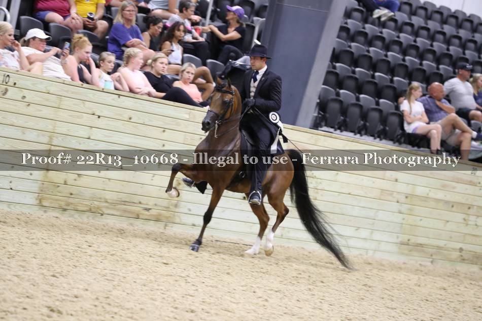Proof 22R13_10668