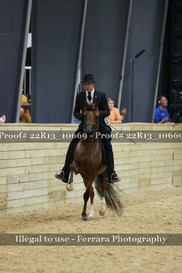 Proof 22R13_10669