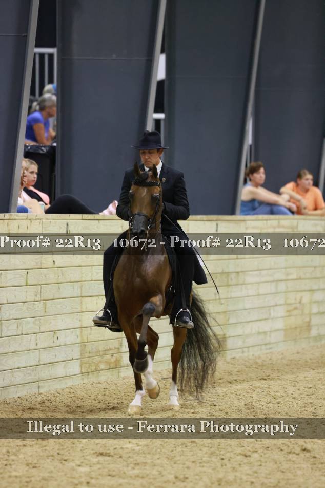 Proof 22R13_10672