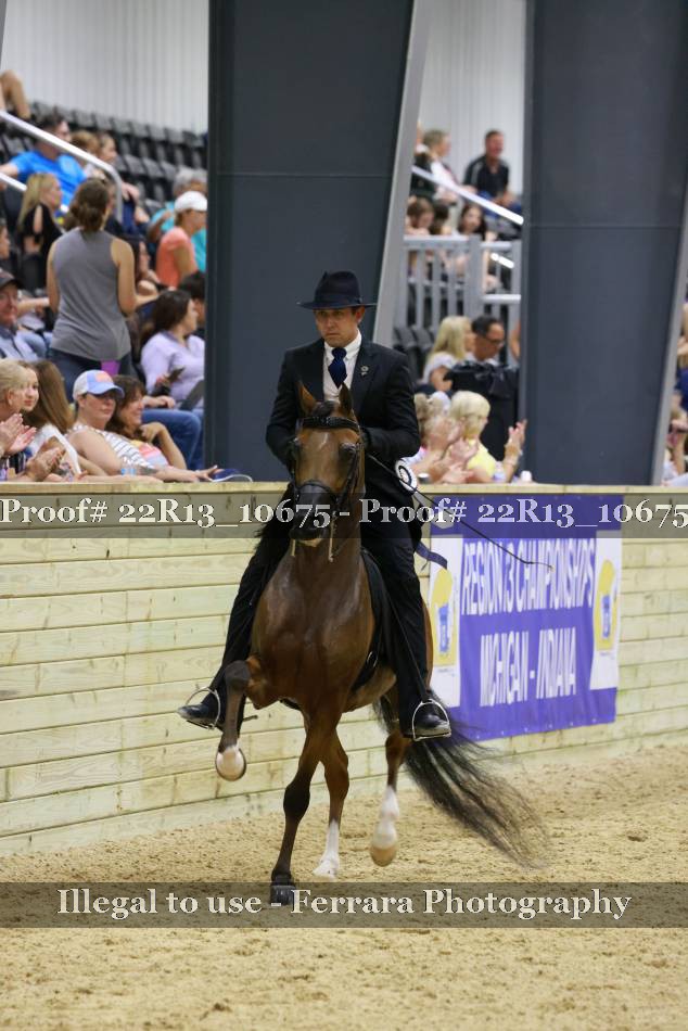 Proof 22R13_10675