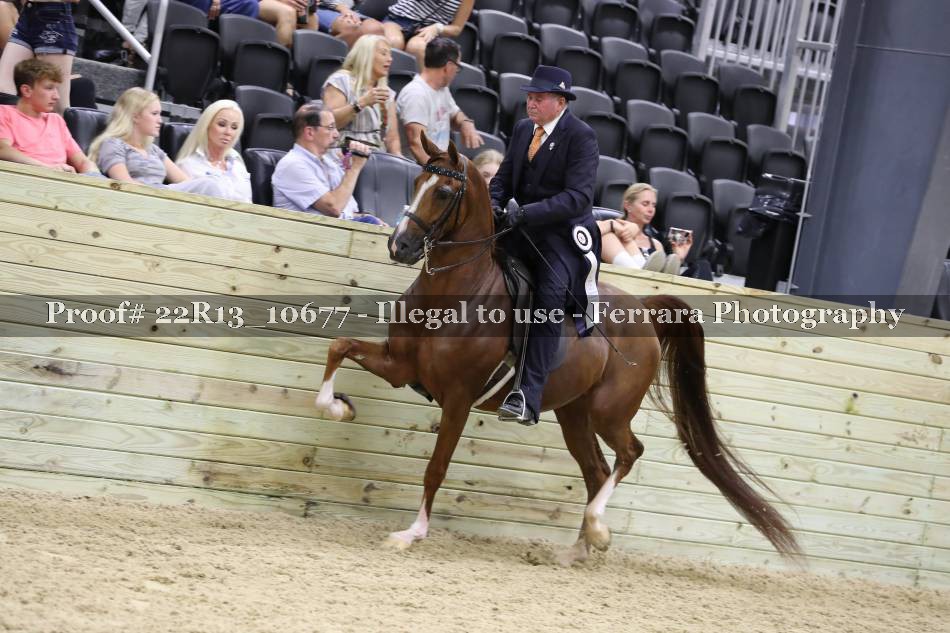 Proof 22R13_10677