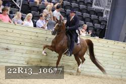22R13_10677 proof