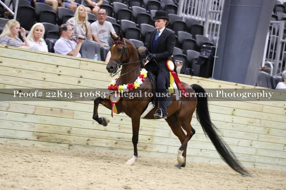Proof 22R13_10683