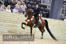 22R13_10683 proof